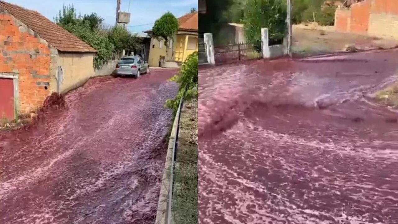 Ruas de Anadia, em Portugal, são inundadas com vinho tinto